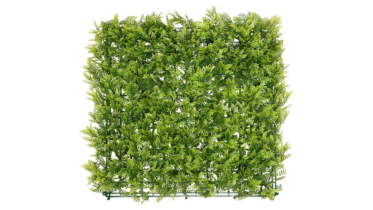 Caligreen