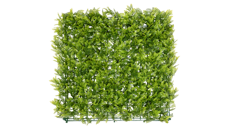 Caligreen