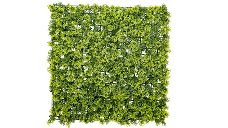 Juniper