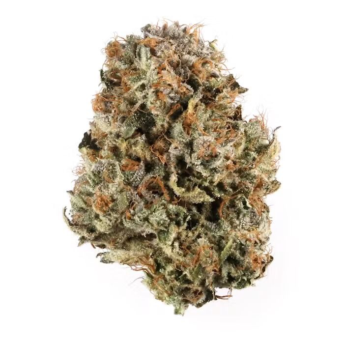 Bio Diesel