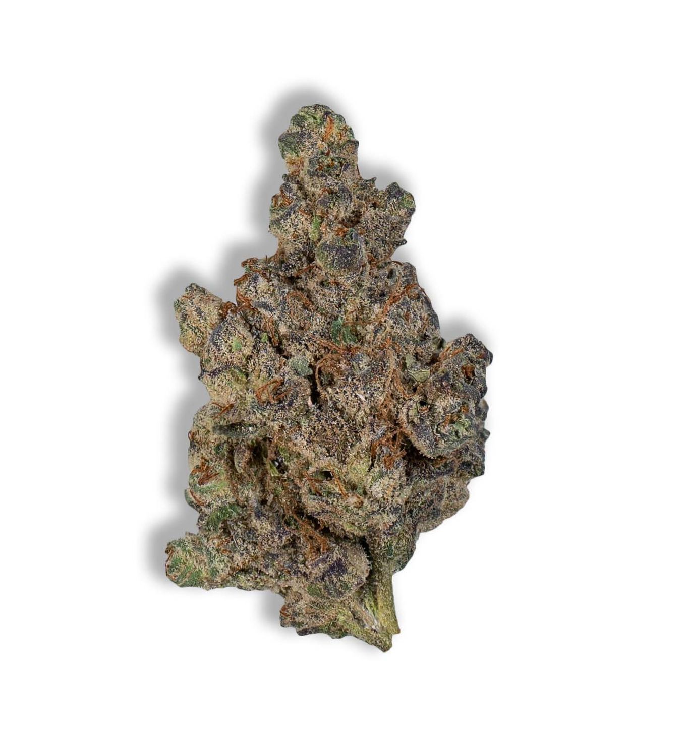 LA Pop Rocks