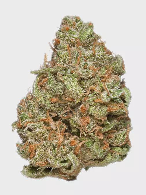 Frost