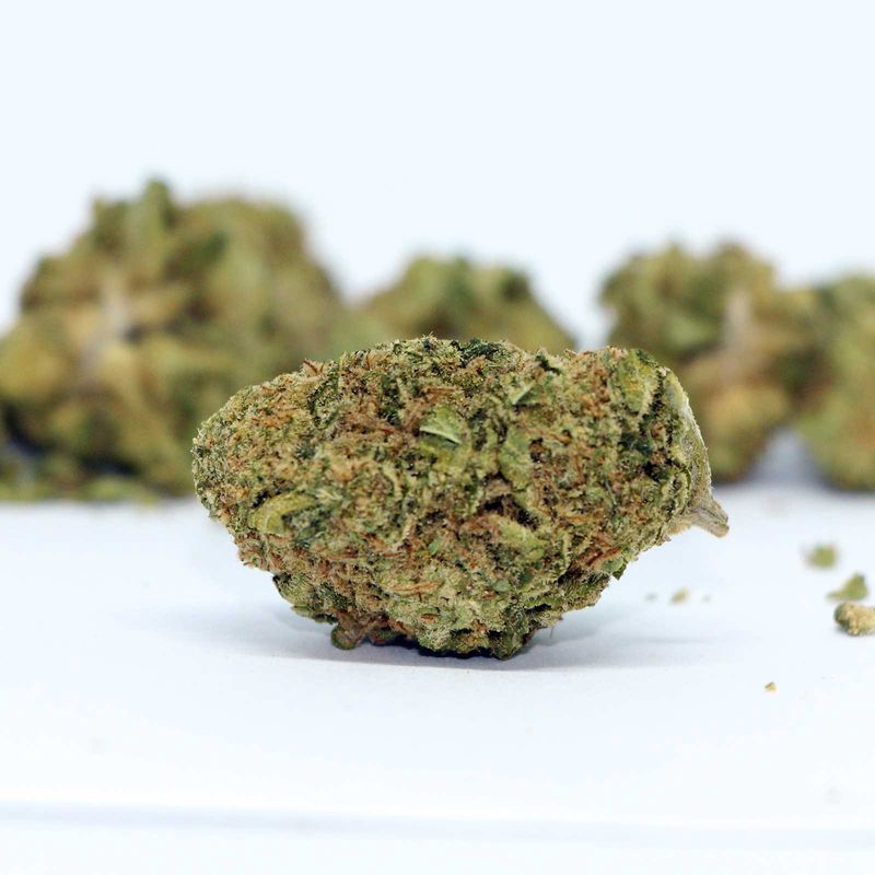 Papaya