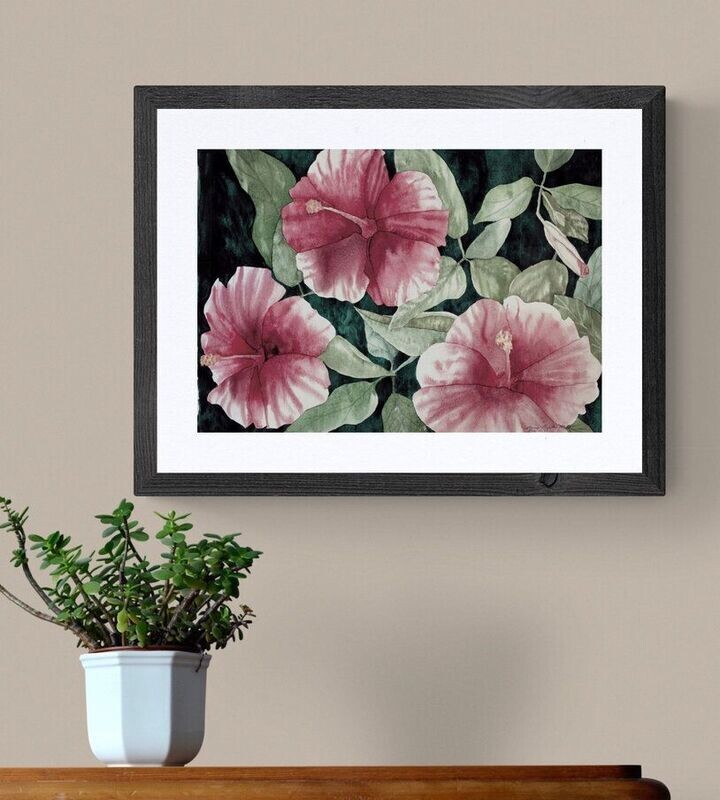 Hibiscus Bloom