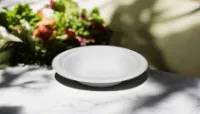 9oz Bagasse Bowl 11x11 (20x50`s)