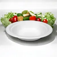 12oz White Bagasse Bowls (20x50)