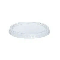 117mm Clear Greenspirit Deli Container Lid rPET (DC1) (20x25)