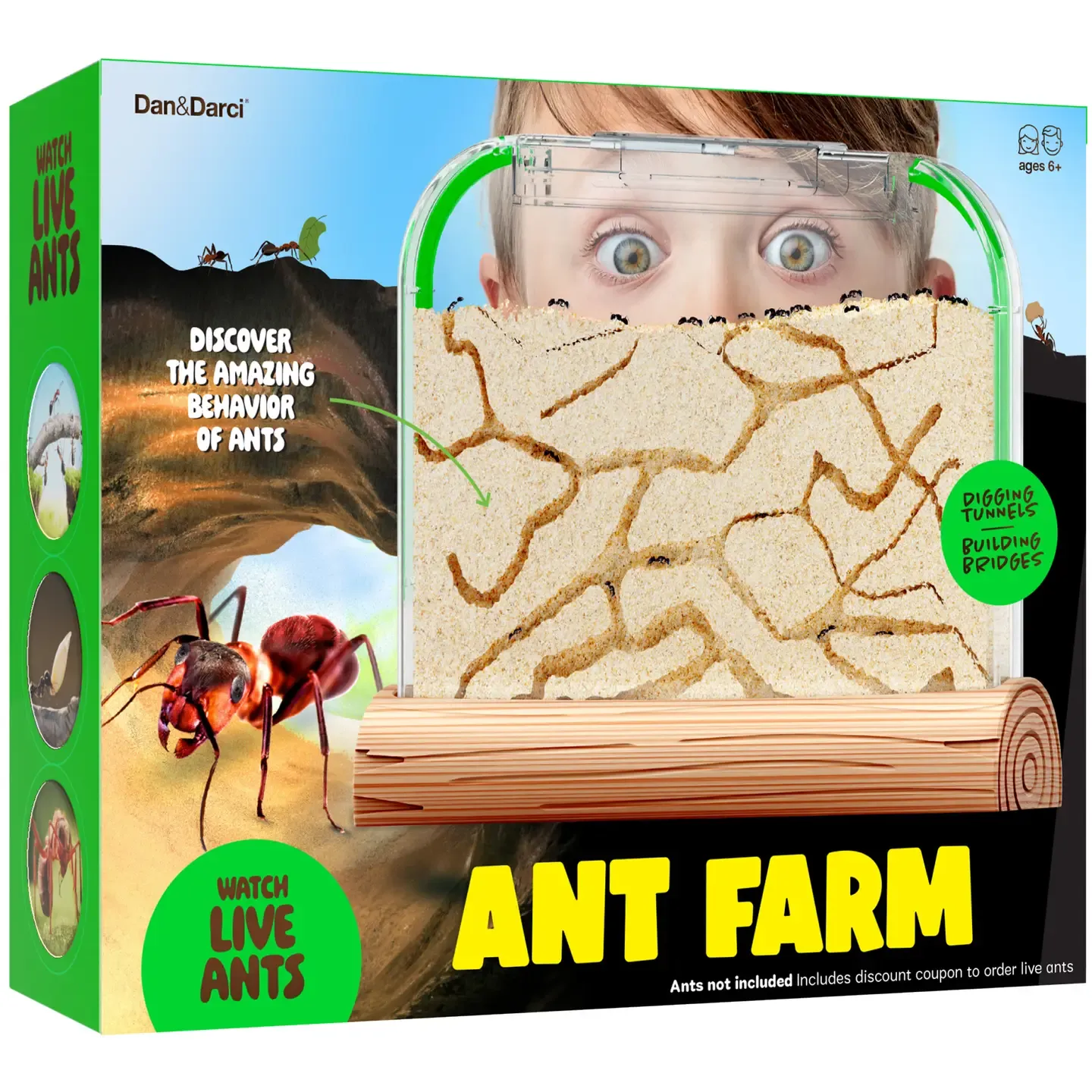Ant Farm Kit  Sand Habitat,.
