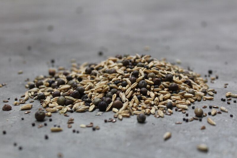 Cover Crop Seed