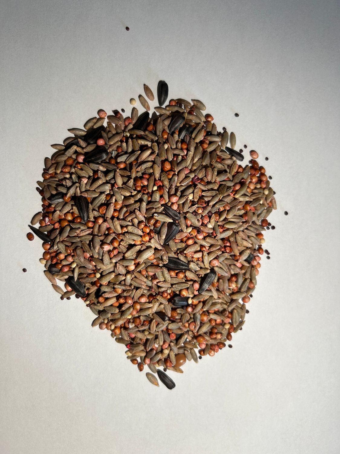 2024 Summer Fallow Mix