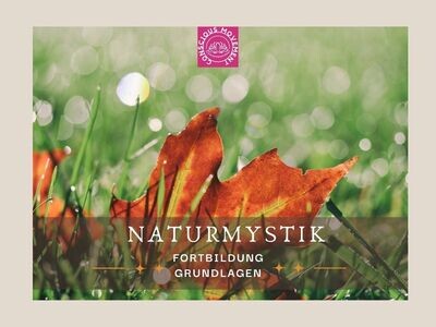 (Live und Online) Naturmystik und Naturorientiertes Coaching - Grundlagen Fortbildung für Coaches und SeminaranbieterInnen 07.06.2026