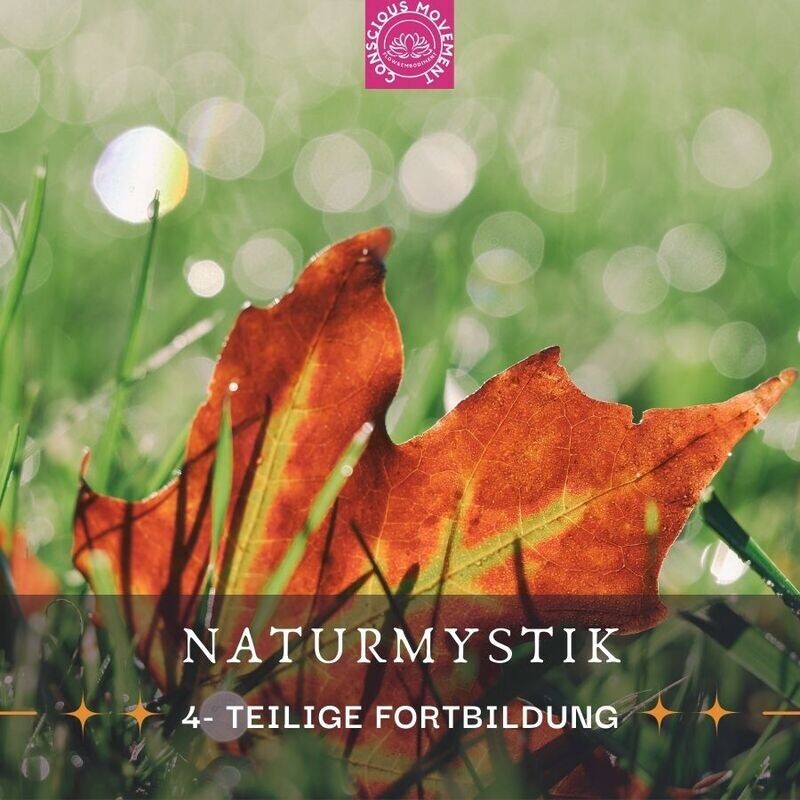 (Live und Online) Naturmystik  Fortbildung für Coaches und SeminaranbieterInnen 2026