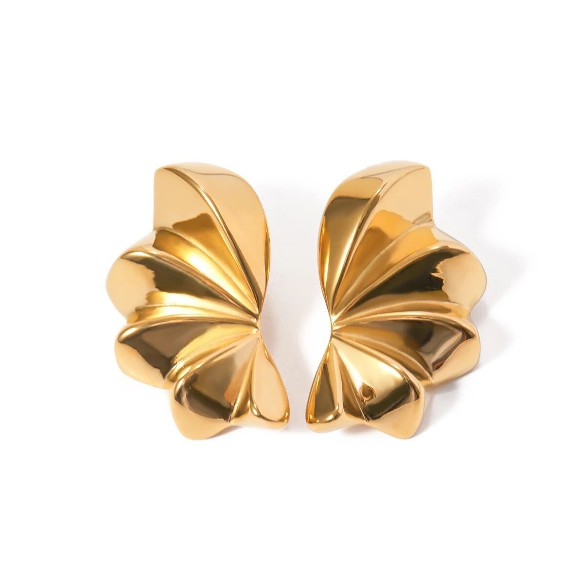 Shells - earrings