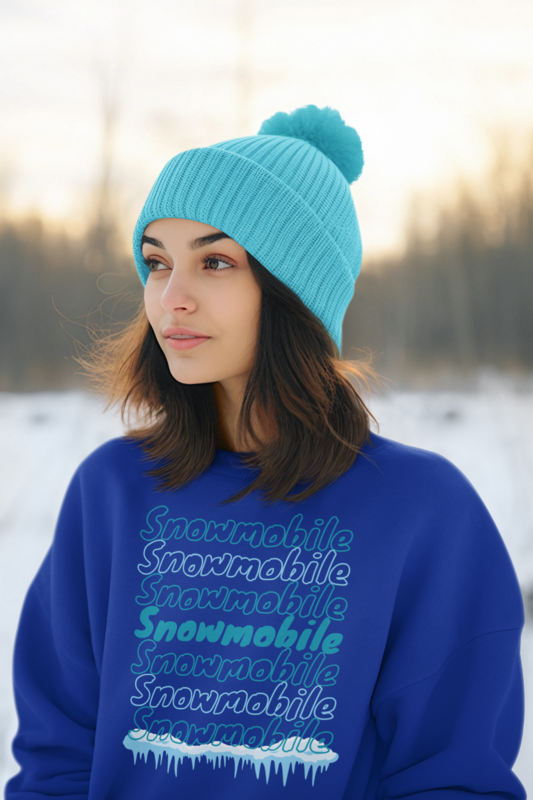 Snowy Snowmobile Words Unisex Premium Sweatshirt