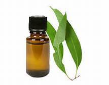 EUCALYPTUS OIL 85% 1 LTR