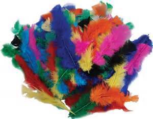 FEATHERS ASST COLOURS 60GM BAG (POA)