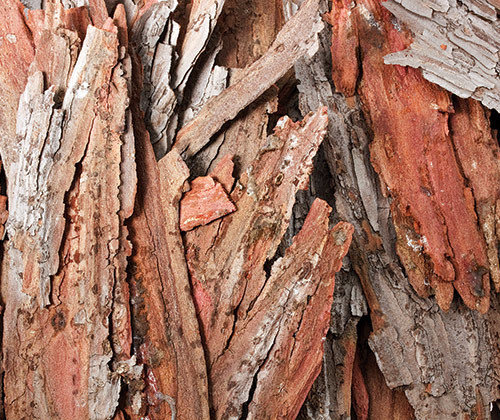 BARK PIECES ASSORTED (POA)