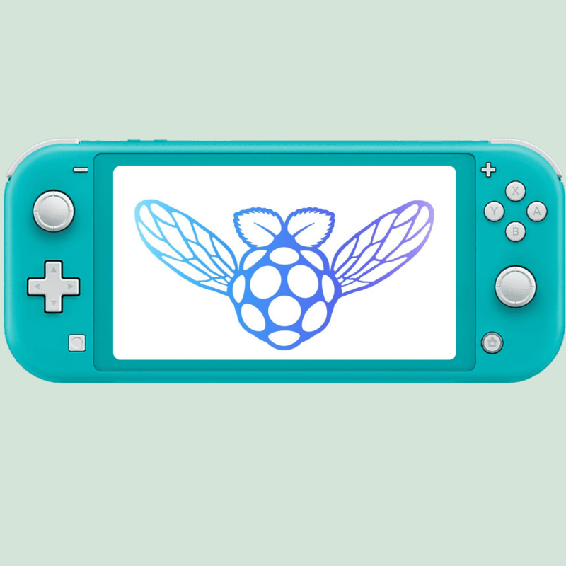 Instalación Picofly/Hwfly Switch Lite