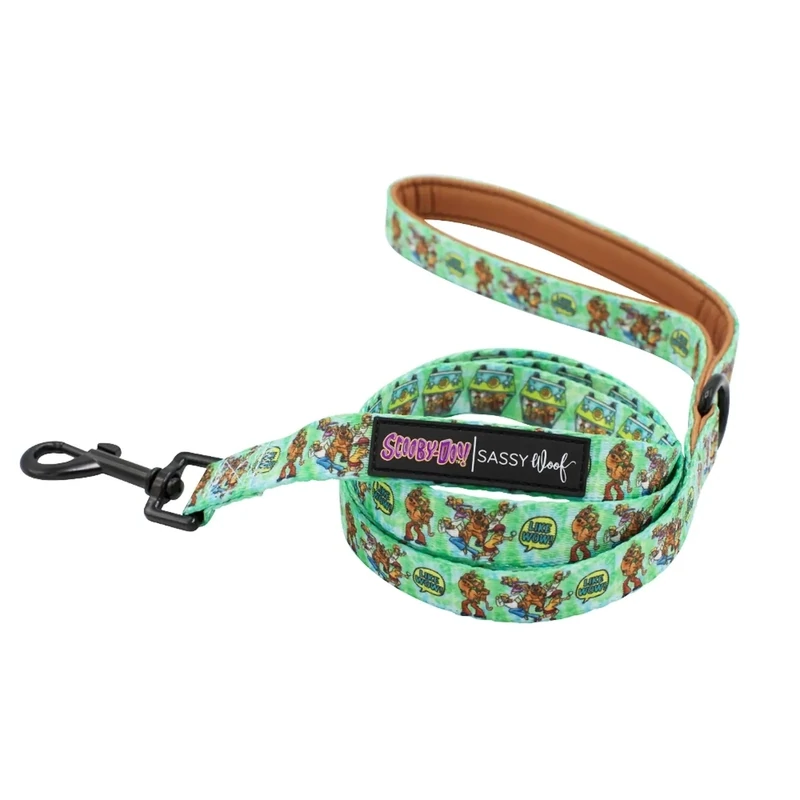 Scooby Doo Leash