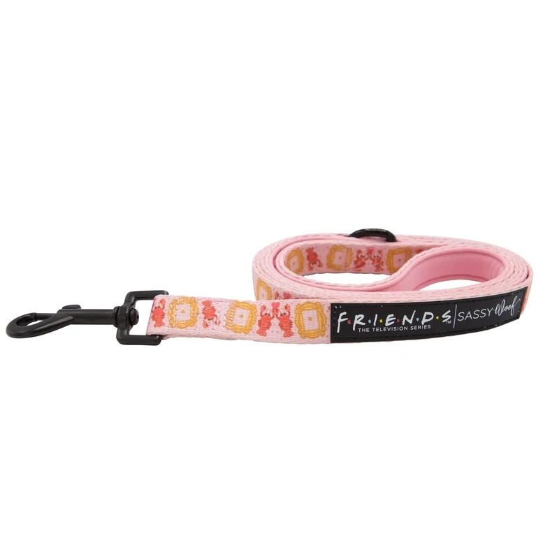 Friends Leash