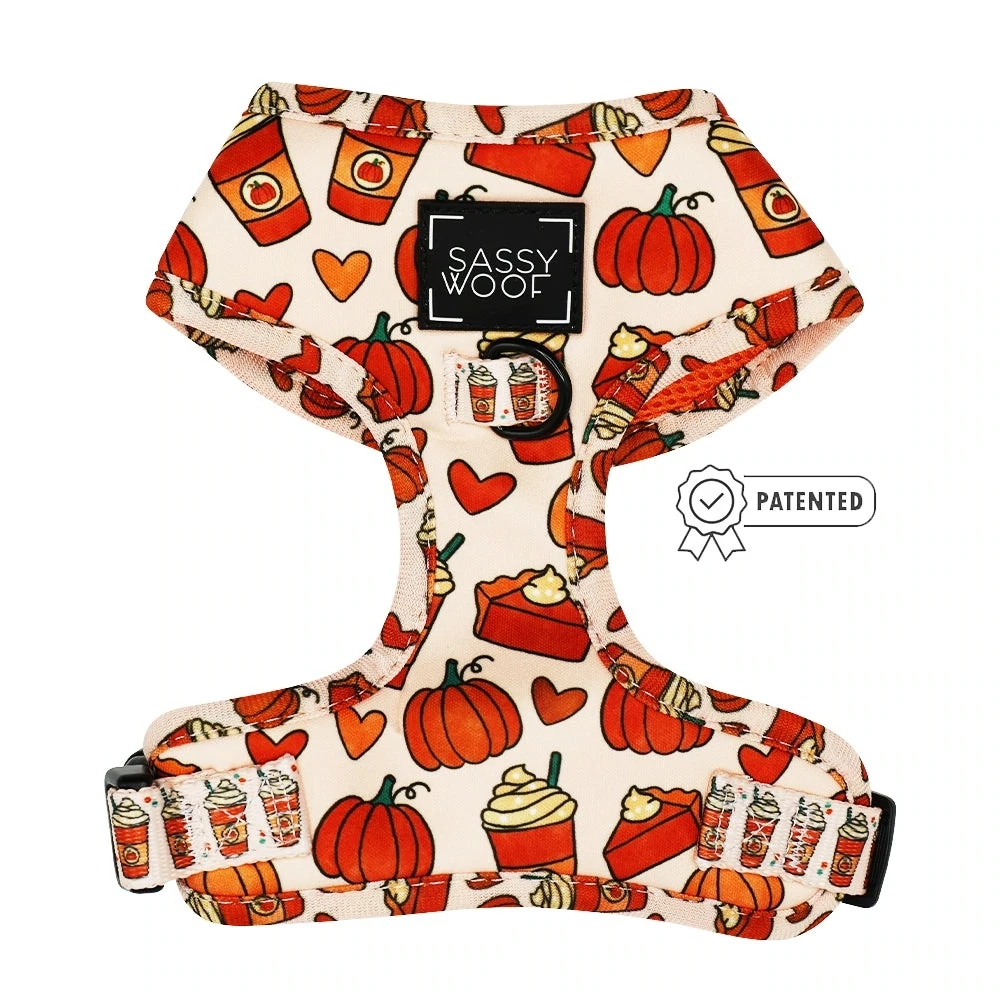 Fall Harness
