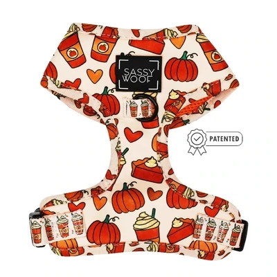 Fall Harness