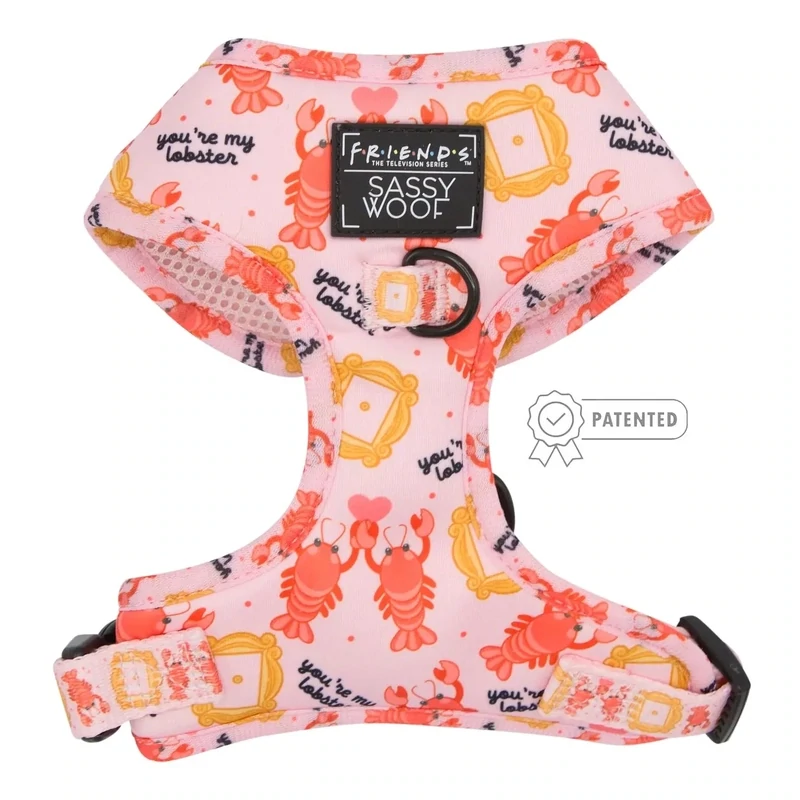 Friends Harness