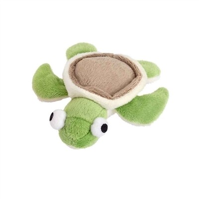 Cat Sushi Turtle