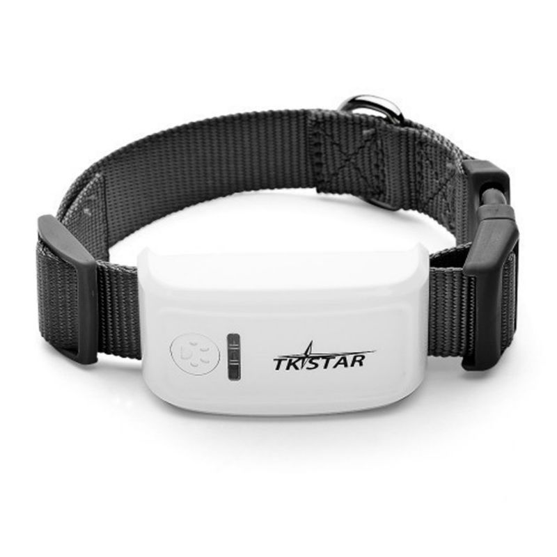 Localizador GPS
