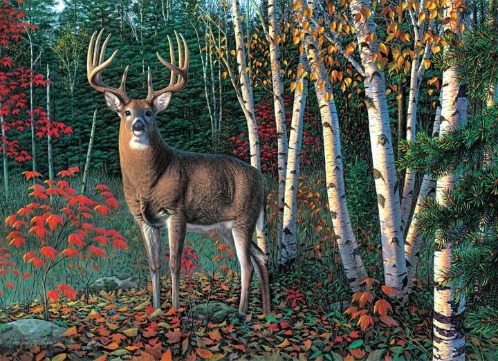 Autumn Sentinel (1000)