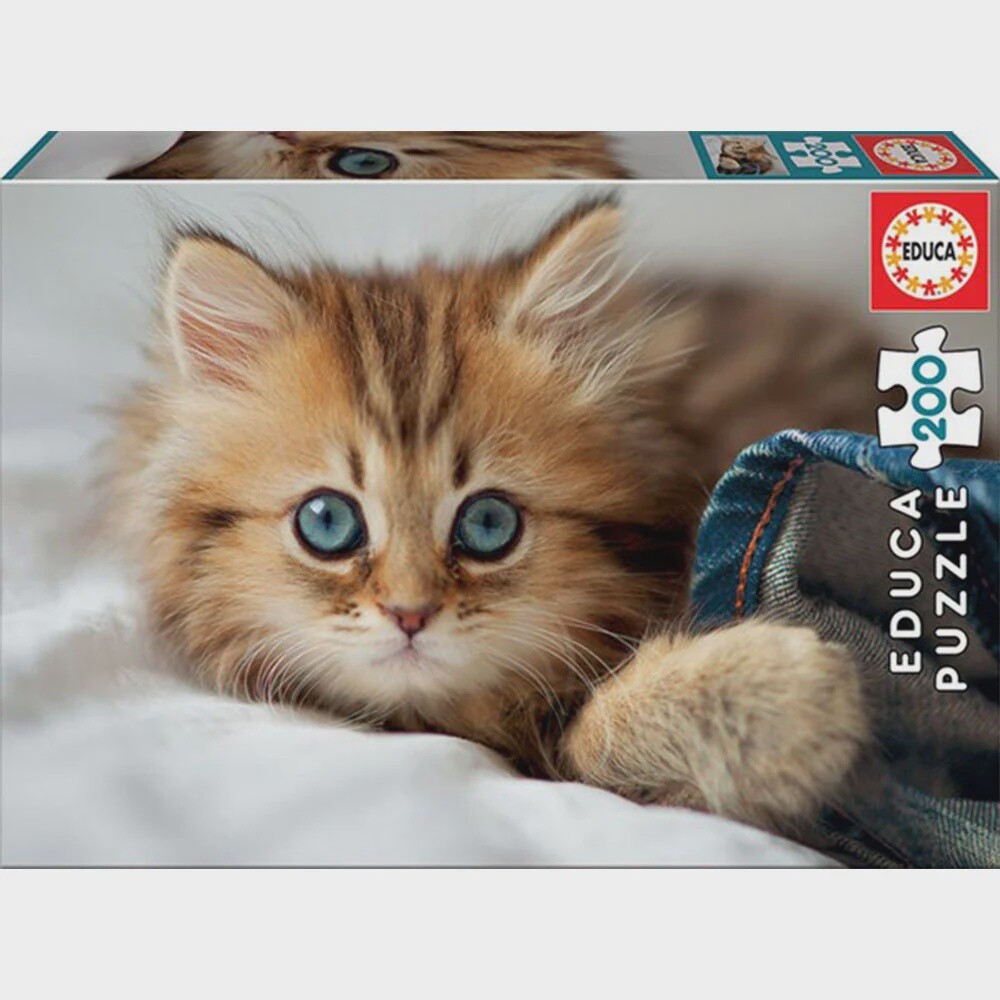 Kitten - 200 Pieces