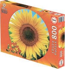 Sunflower Round - 800 Pieces