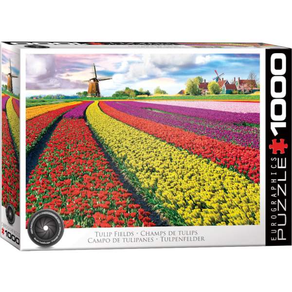 Tulip Fields - 1000 Pieces