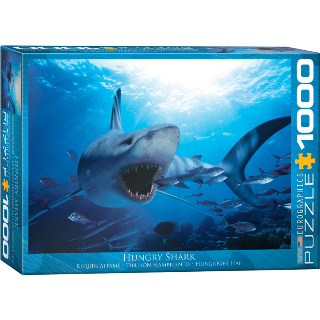 Hungry Shark - 1000 Pieces