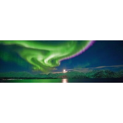 Polar Lights AVH - 1000 Pieces
