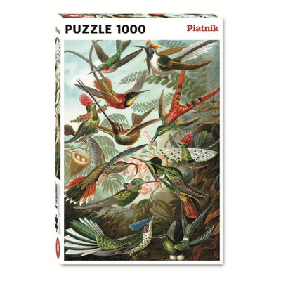 Haeckel: Hummingbirds - 1000 Pieces