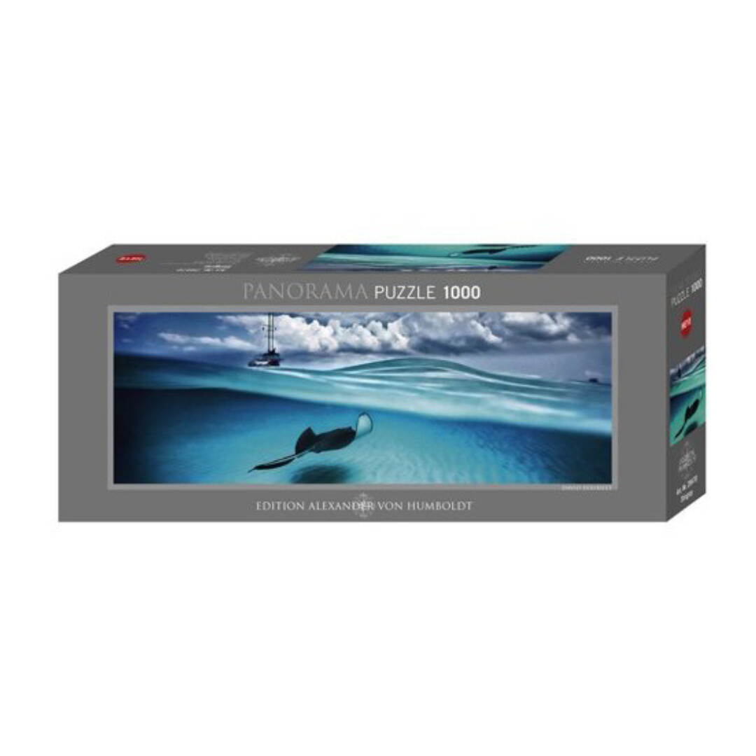 Stingray AVH Panorama - 1000 Pieces