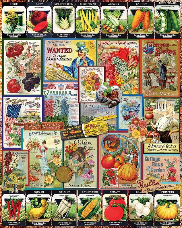 Garden Seeds - 1000 Pieces