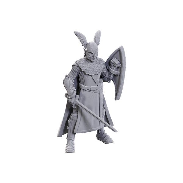 D&amp;D Nolzur&#39;s Marvelous Miniatures: Unpainted Minis 50th Anniversary - Elves