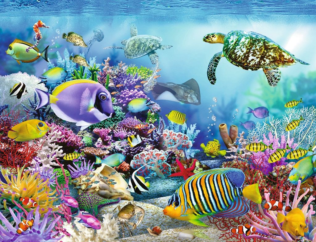 Coral Reef Majesty - 2000 Pieces