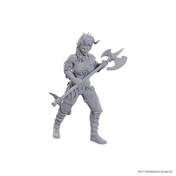 D&amp;D Nolzur&#39;s Marvelous Miniatures: Balder&#39;s Gate 3 - Wyll &amp; Karlach