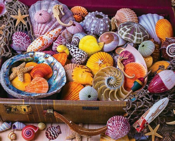 Vacation Treasures - 1500 Pieces