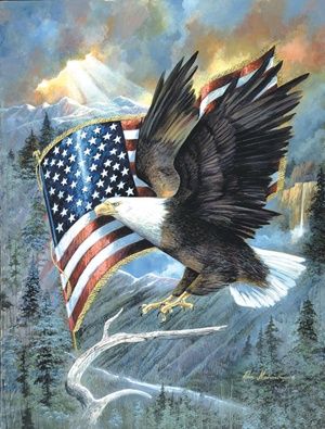 American Eagle (100)