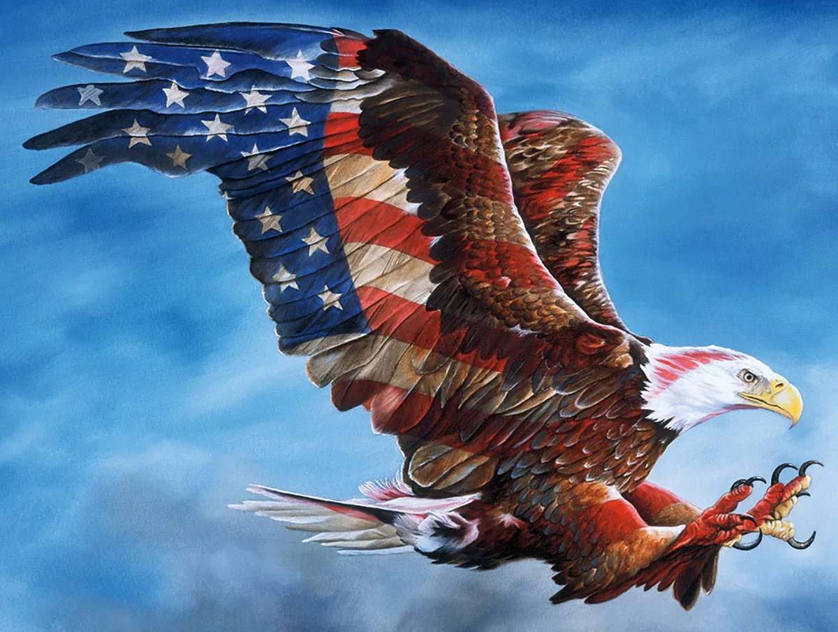 American Glory Shape - 900 Pieces