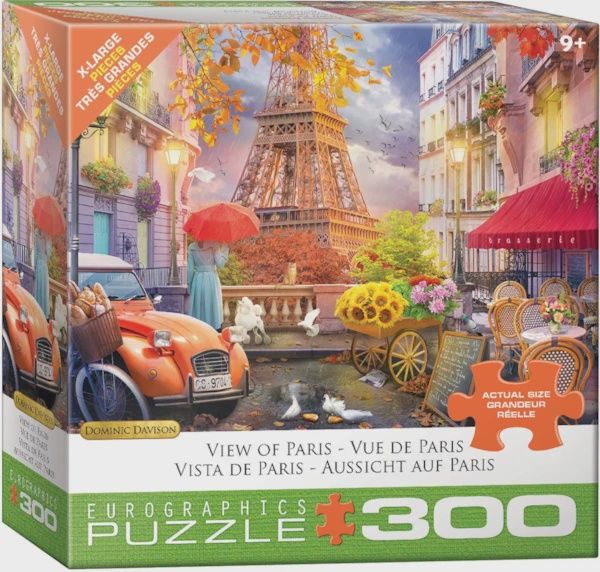 View of Paris - 300 Pieces