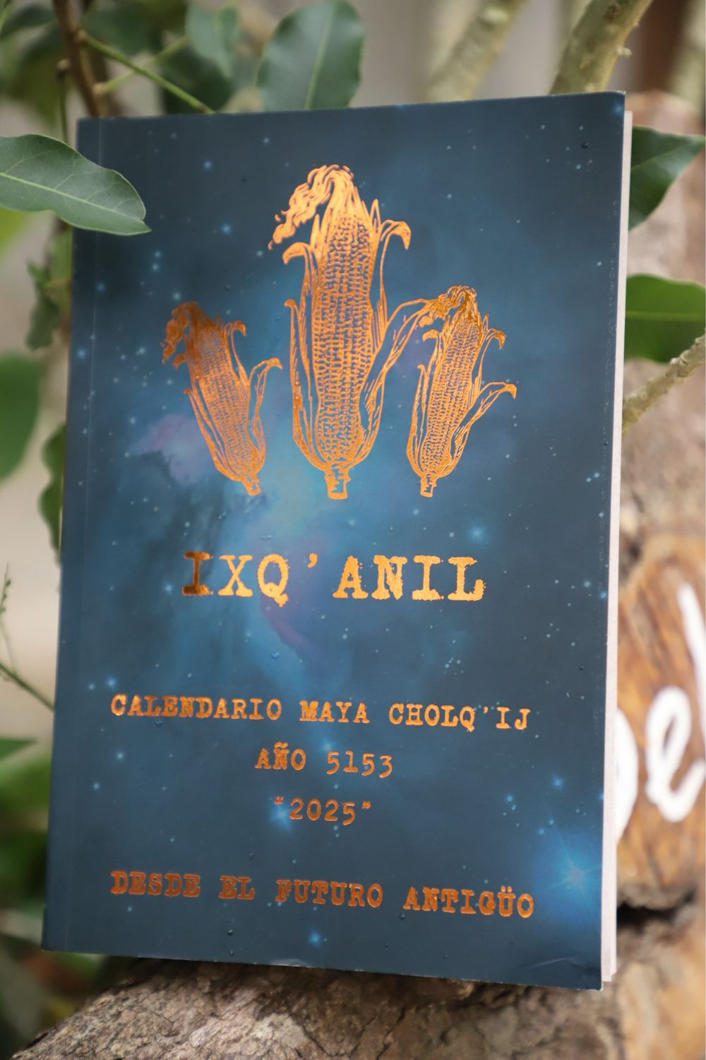 Bitácora IxQ’anil cholq’ij 2025 MAM 13 I’Q (3 en 1) otros destinos