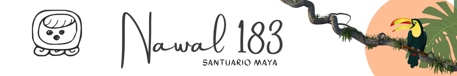 Formación de Temazcales 2 con Nan Makuna 20 días
