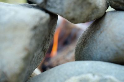 VILCABAMBA TEMAZCAL EN ECUADOR 29 y 30 de agosto