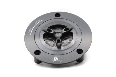 Quick Release Gas Cap