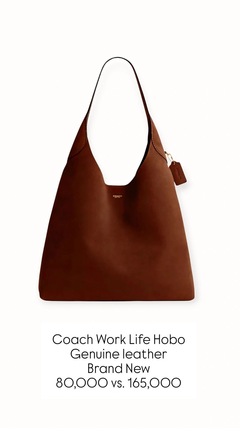 Coach Work Edit Hobo
